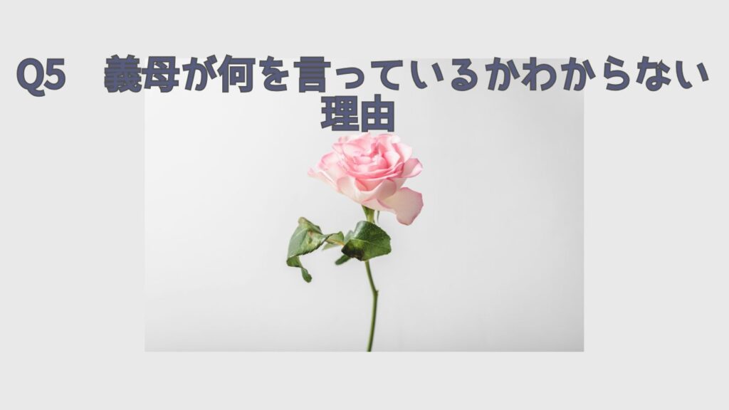 Q5 義母が何を言っているかわからない理由