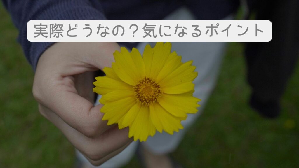 実際どうなの？気になるポイント