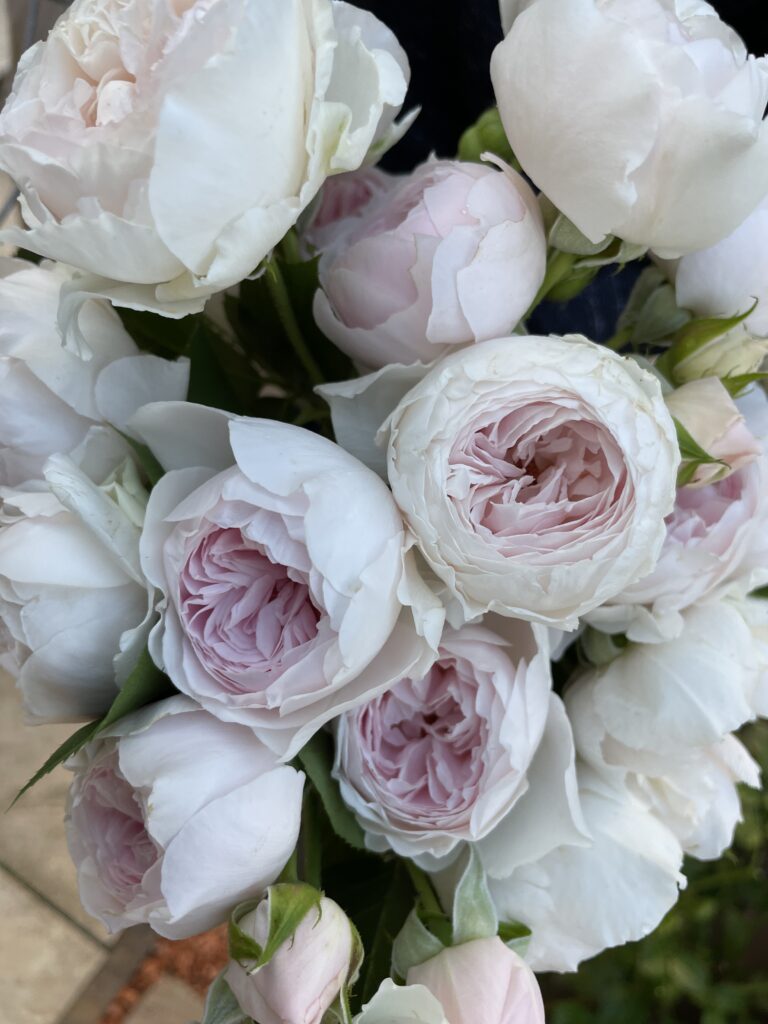 人気があるのも納得のクリスティアーナ