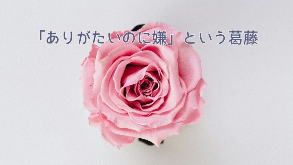 義母が孫に何でも買い与えるのは「ありがたいけど嫌」