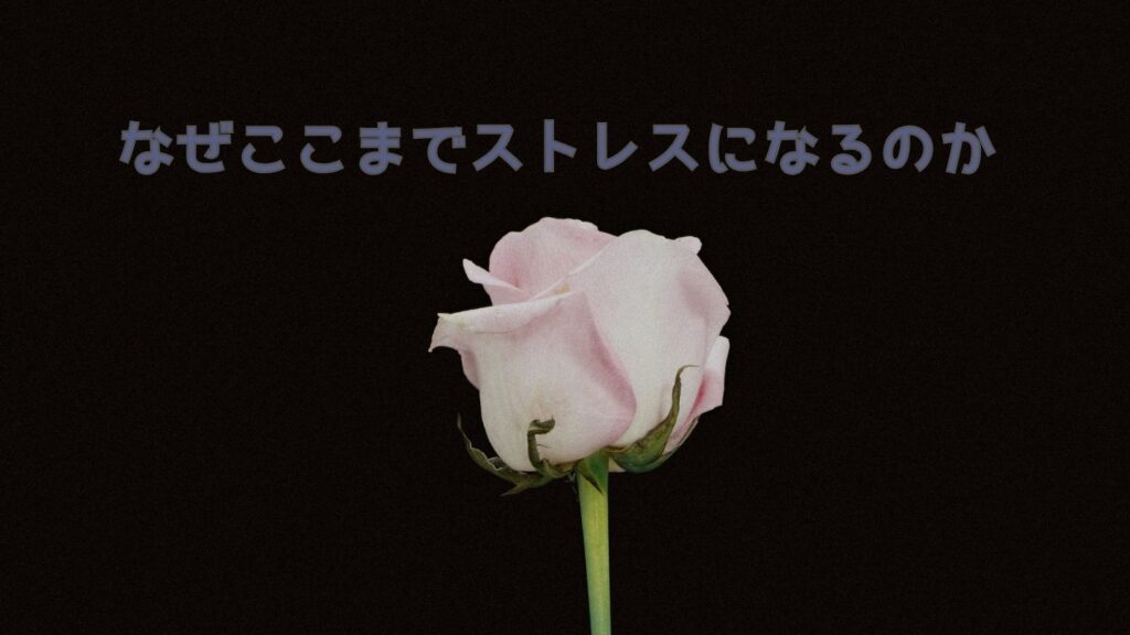 義母が孫に何でも買い与える「なぜここまでストレスになるのか」