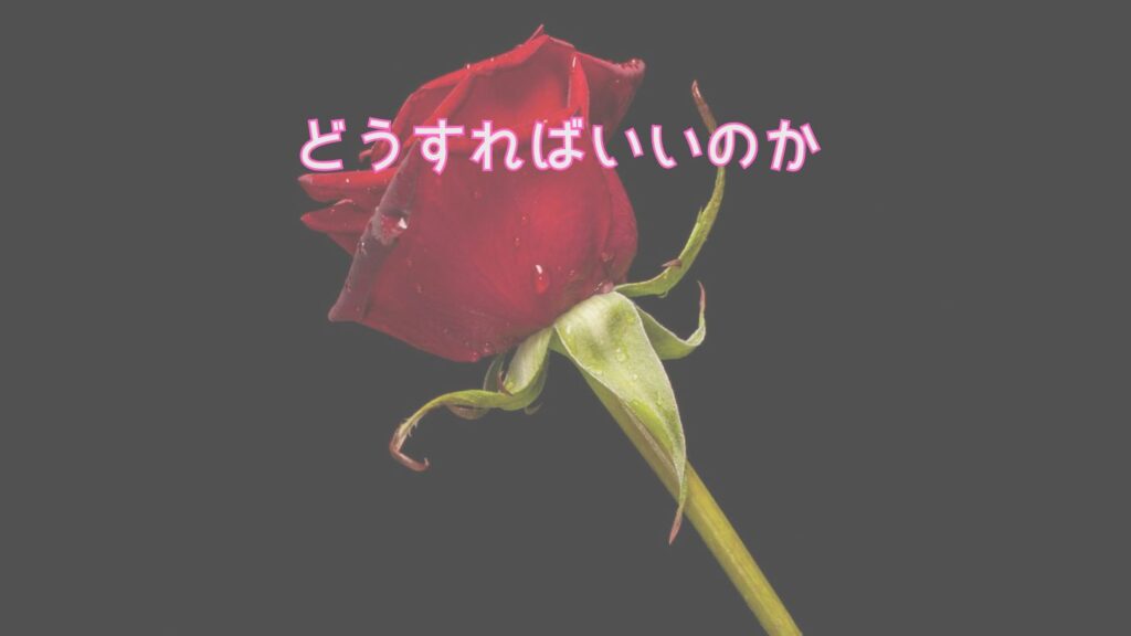 義母が孫に何でも買い与える「どうすればいいのか」