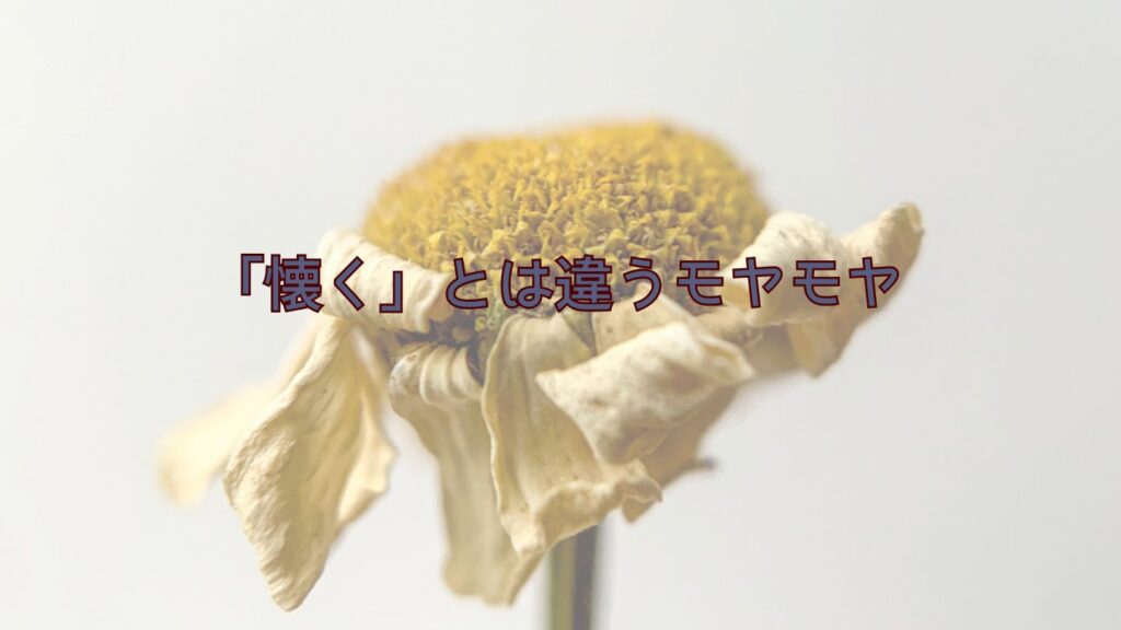 義母が孫に直接連絡するのが嫌…懐くとは違うモヤモヤ