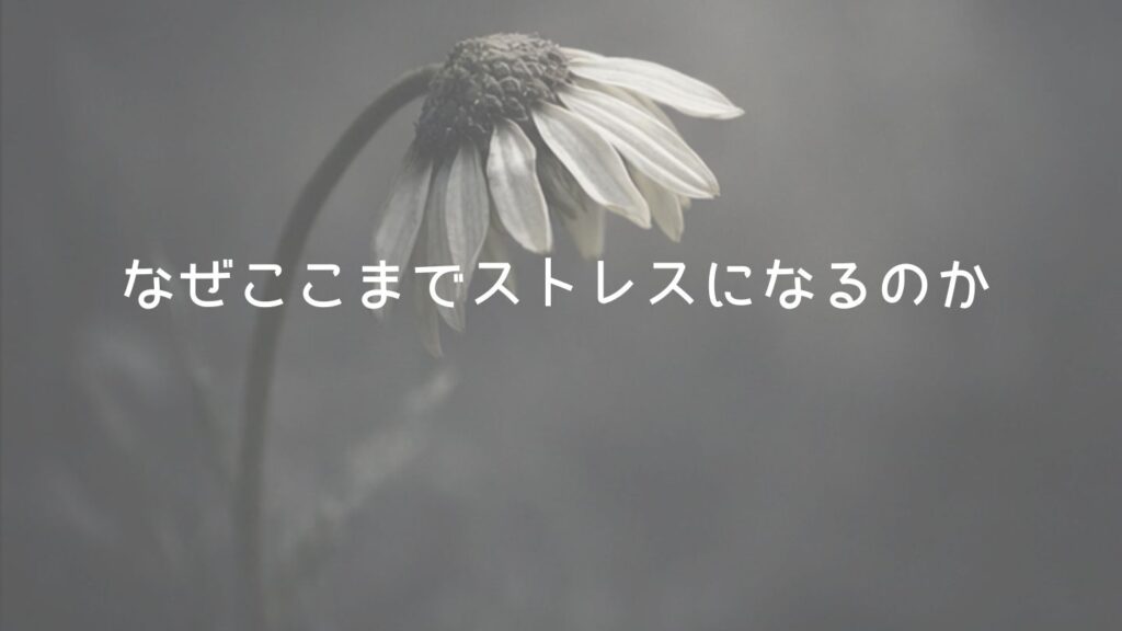 義母が孫に直接連絡するのが嫌。なぜここまでストレスになるのか