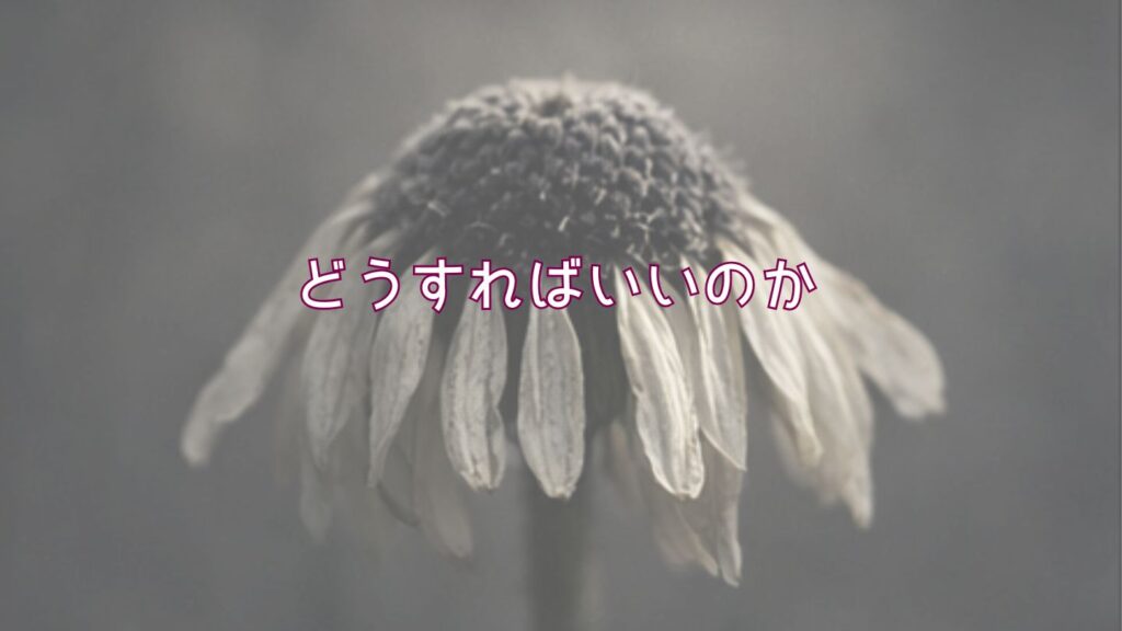 義母が孫に直接連絡するのが嫌。どうすればいいのか