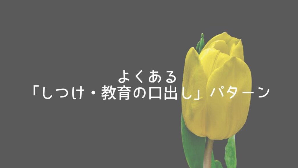 よくある義母からの「しつけ・教育の口出し」パターン