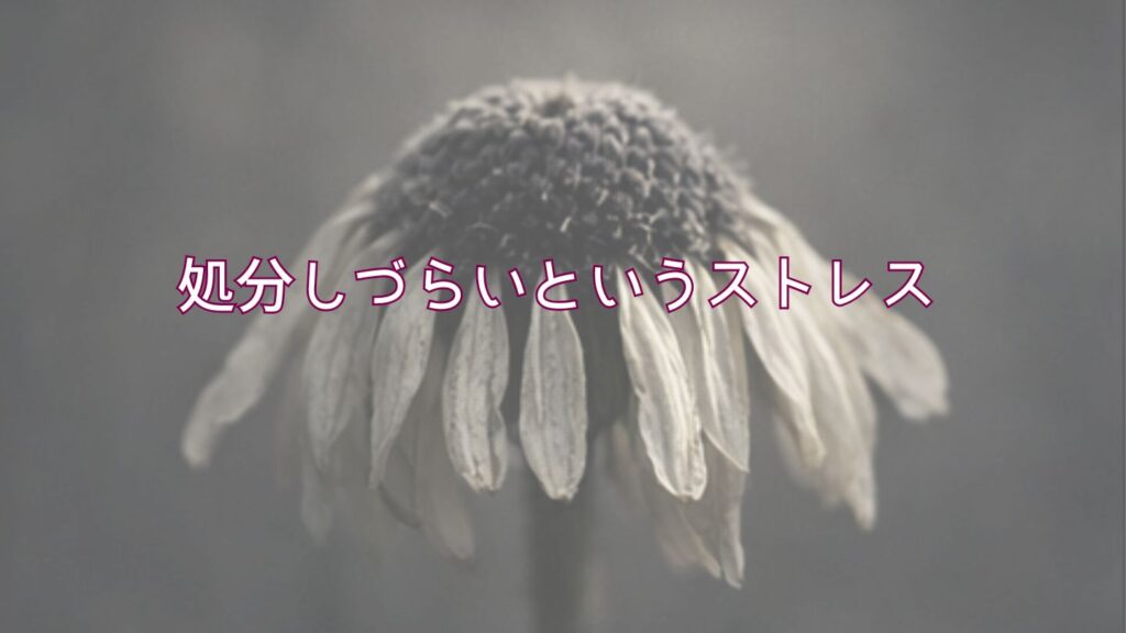 母がベビー服を勝手に買ってくるのが処分しづらいというストレス
