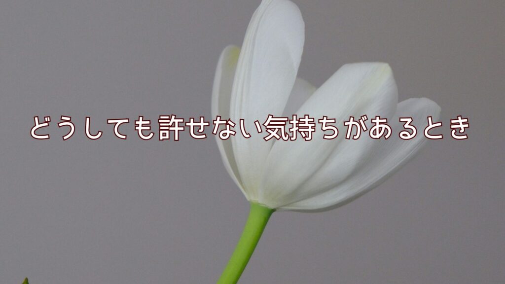 義母が勝手に物を捨てるのがどうしても許せない時