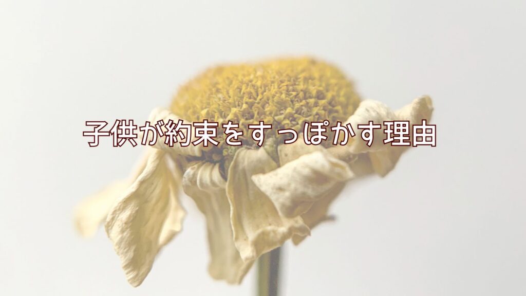 子供が約束をすっぽかす理由