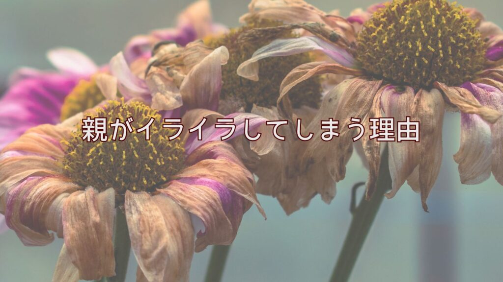 親がイライラしてしまう理由