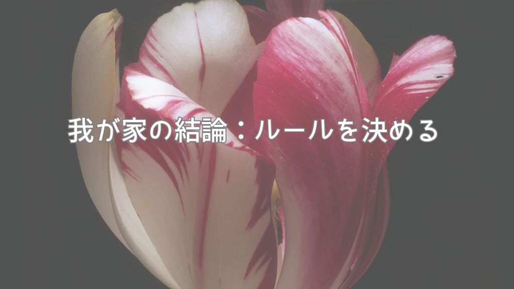 我が家の結論:ルールを決める