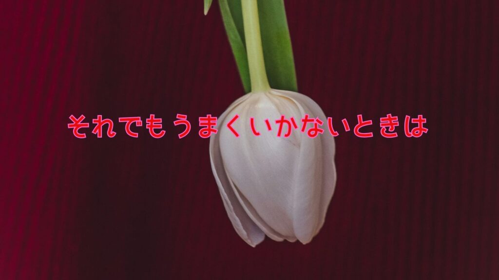 それでもうまくいかないときは