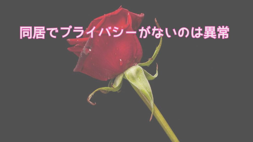まとめ｜同居でプライバシーがないのは異常