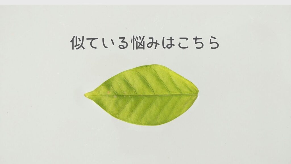 似ている悩みはこちら