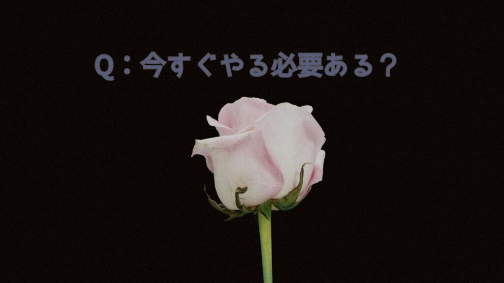 動画編集を学ぶのは今すぐやる必要ある？