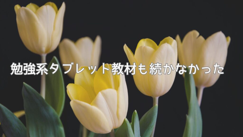 勉強系タブレット教材も続かなかった