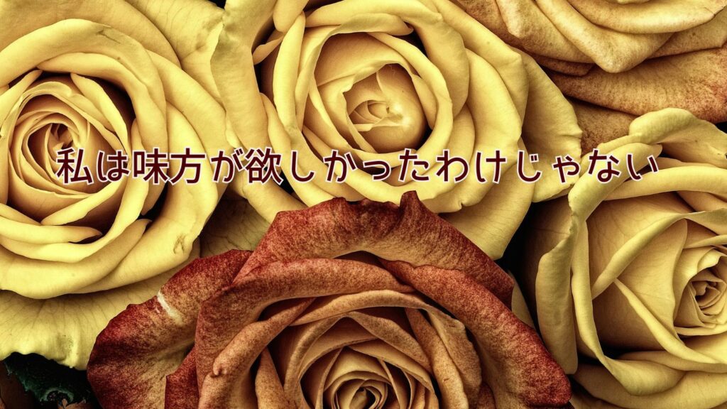 私は味方が欲しかったわけじゃない