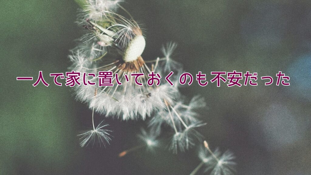 一人で家に置いておくのも不安だった
