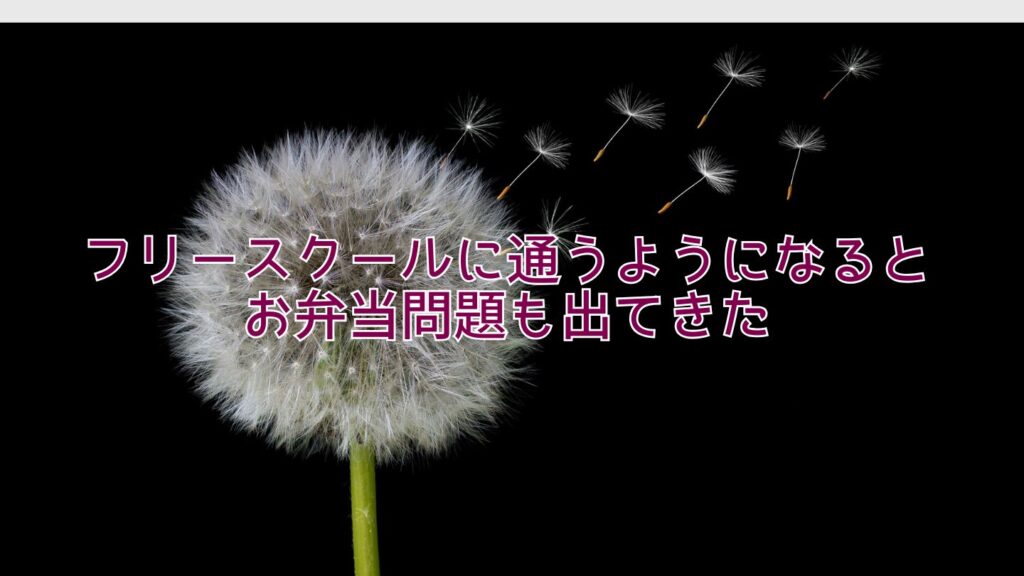 フリースクールに通うようになるとお弁当問題も出てきた