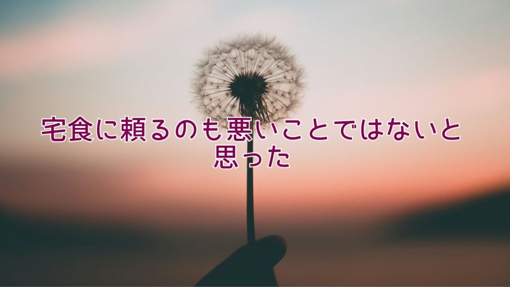 宅食に頼るのも悪いことではないと思った