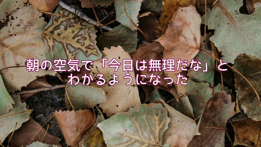 朝の空気で「今日は無理だな」とわかるようになった