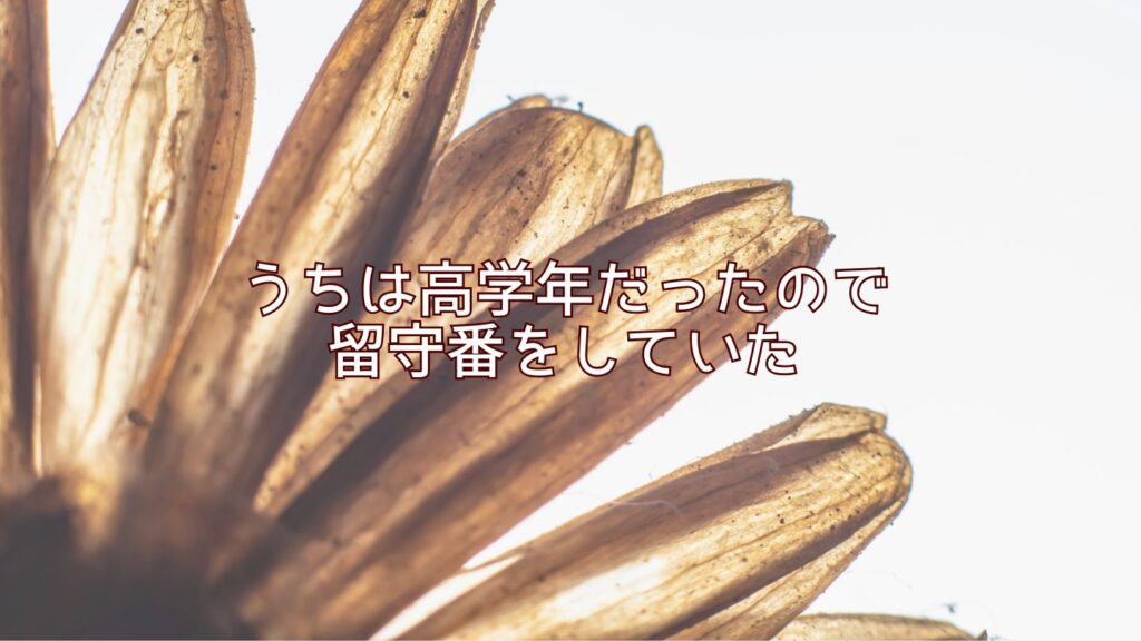 うちは高学年だったので留守番をしていた