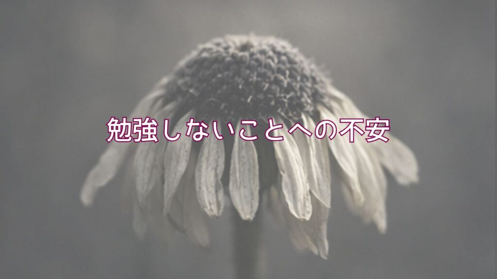 勉強しないことへの不安