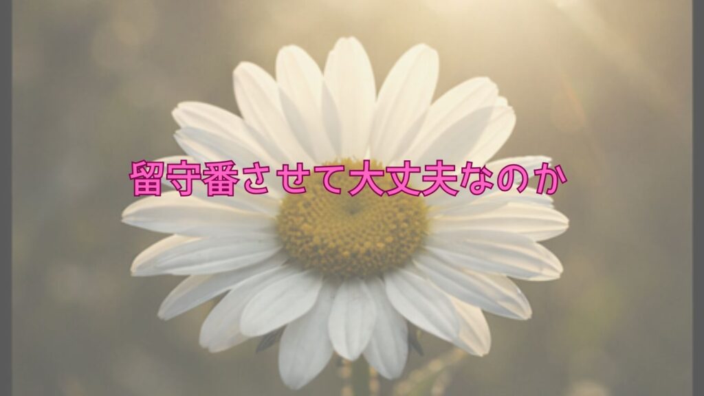 留守番させて大丈夫なのか