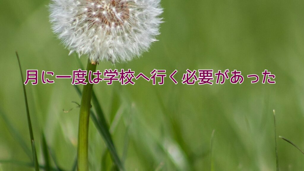 月に一度は学校へ行く必要があった