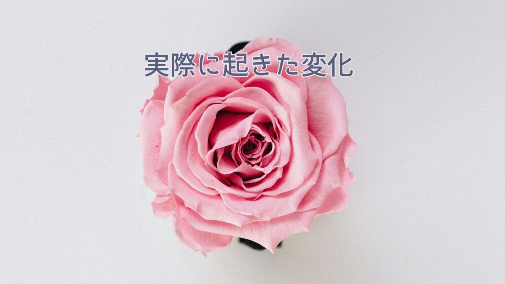 実際に起きた変化