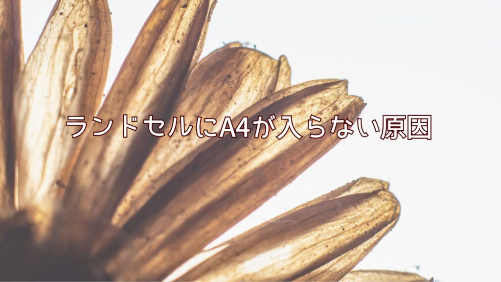 ランドセルにA4が入らない原因