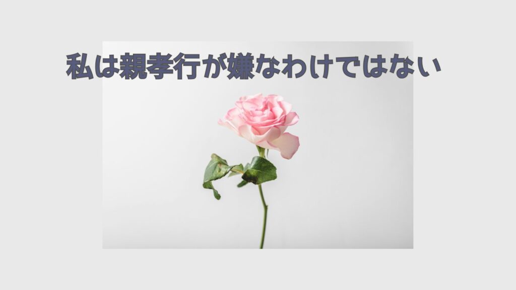 私は親孝行が嫌なわけではない