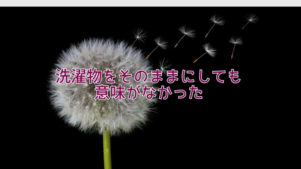 洗濯物をそのままにしても意味がなかった