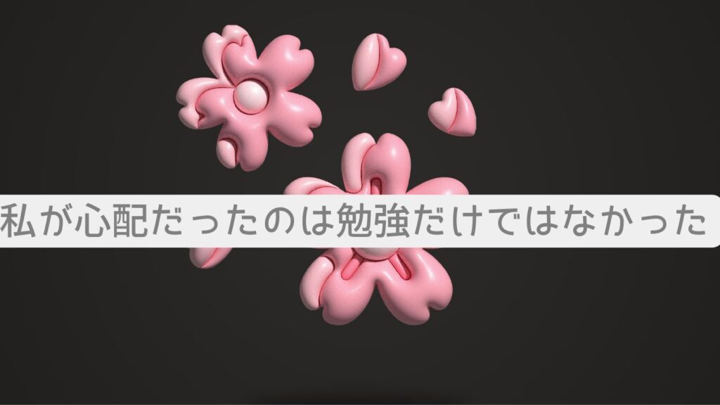 私が心配だったのは勉強だけではなかった
