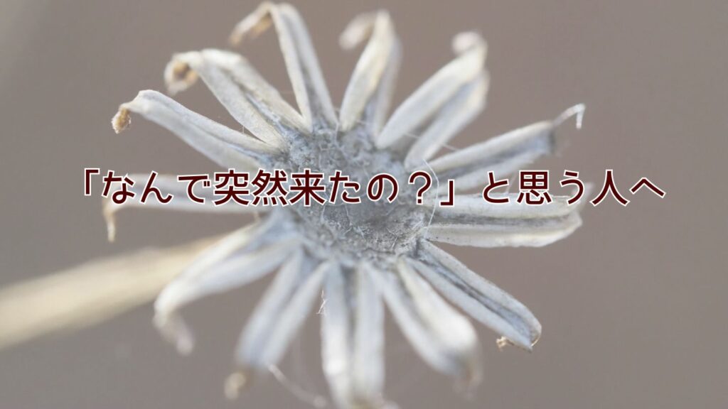 「なんで突然来たの?」と思う人へ