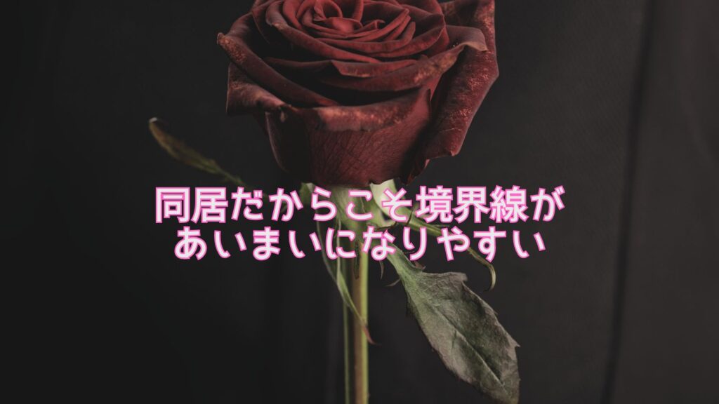 同居だからこそ境界線があいまいになりやすい