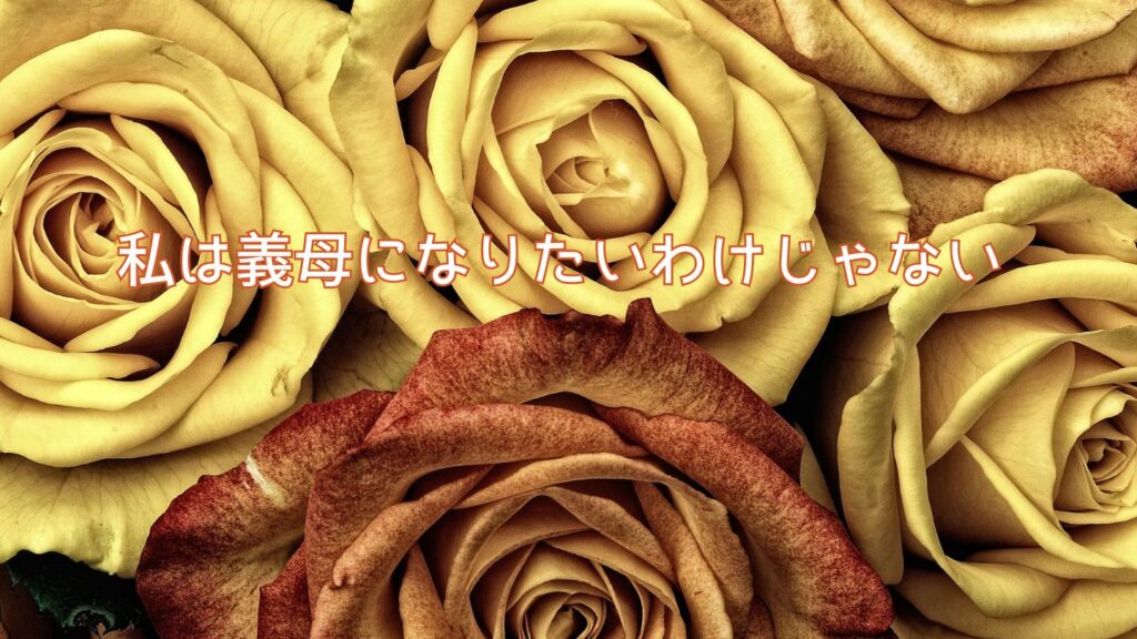 私は義母になりたいわけじゃない