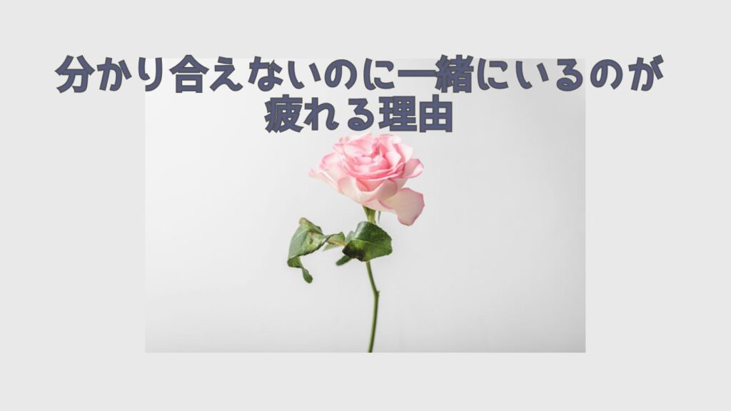分かり合えないのに一緒にいるのが疲れる理由