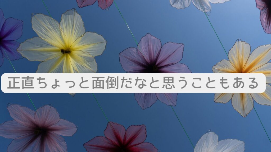 正直ちょっと面倒だなと思うこともある