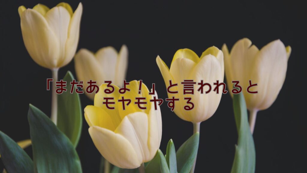「まだあるよ！」と言われるとモヤモヤする