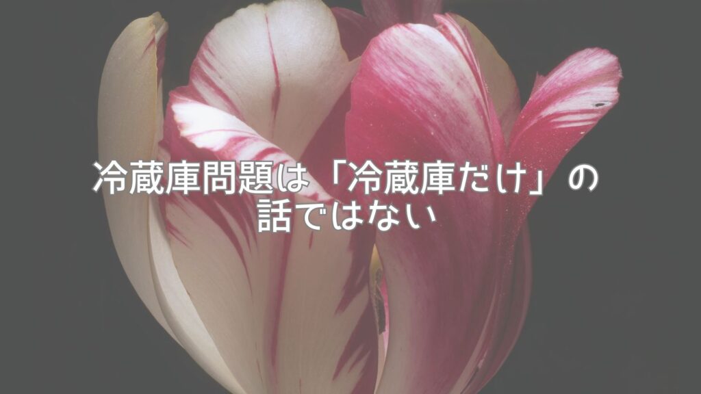 冷蔵庫問題は「冷蔵庫だけ」の話ではない
