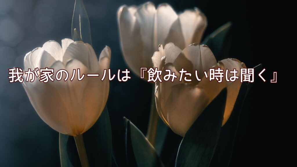 我が家のルールは『飲みたい時は聞く』